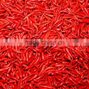 Best Quality Fresh Hot Red Chili Pepper From Vietnam thumbnail-1