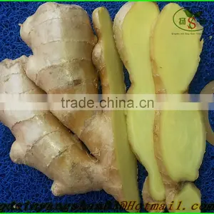 More Than 200 g Fresh Ginger/air Dried Ginger: Exports Europe and the United States thumbnail-5