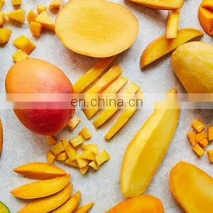 100% NATURAL FOR HEALTH FRESH MANGO WITH GOOD QUALITY MADE IN VIET NAM thumbnail-3