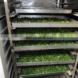 300kg Large Hot Air Industrial Drying Machine of Moringa Leaves Leaf Drying Machine thumbnail-5
