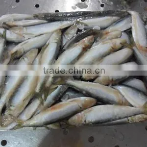 Good Quality Frozen Sardine Seafood Fish 85-90 Pcs thumbnail-5