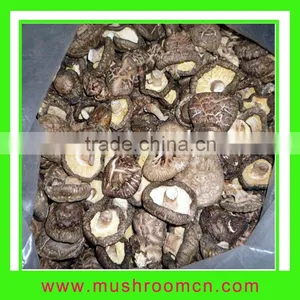Dry Shiitake Mushroom thumbnail-1