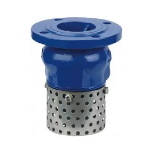 CAST IRON Flanged Lift Type Foot Valve for Water Supply & Sewage Pipelines thumbnail-1