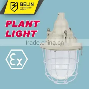BAD51-250 Flameproof Explosion Proof Light thumbnail-1