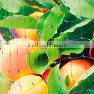Factory OEM Bird Netting / Hdpe Agricultural Net / Anti Bird Netting thumbnail-1