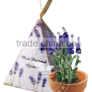 Mini Pyramid Garden, Flower Garden,lavender thumbnail-1