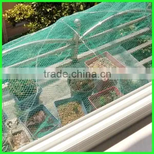 Supply High Quality Orchard Anti Bird Net/nylon Anti Bird Net/vineyard Anti Bird Net thumbnail-6
