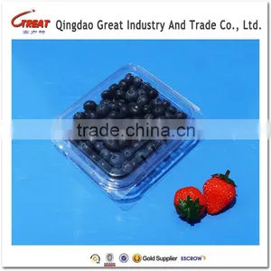 Small Square Clear Plastic Blueberry Container Clamshell thumbnail-1