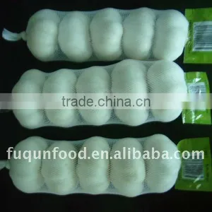 2012 Crop Pure White Garlic in Retail Packing thumbnail-1