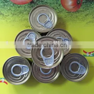 70G China Factory Hot Sell Nature Canned Tomato Paste thumbnail-4