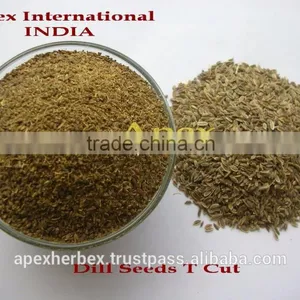 Dill Seed / Anthem Graveolens / Suwa thumbnail-3
