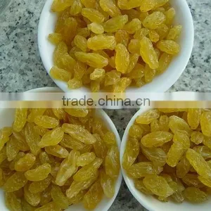 Golden Raisins New Crop 2012 thumbnail-1