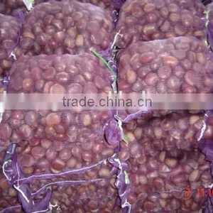 Bulk Fresh Chestnut for Sale thumbnail-4