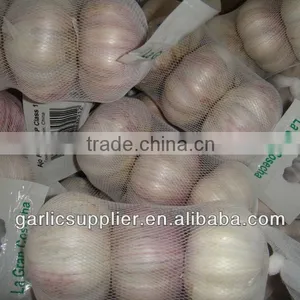 3P Bag Red Garlic 2013 thumbnail-1
