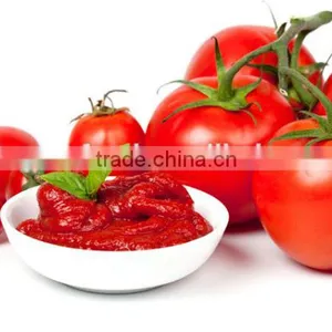 Tomato Paste With Drum Packing/WoCanned Tomato Paste, Sachet Tomato Paste, Tomato Sauce, Tomato Puree, Tomaoden Bins/Tin Packing thumbnail-2
