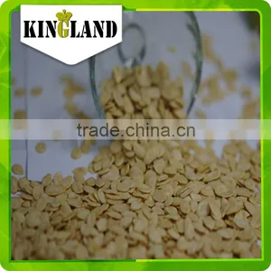 Black Seedless Watermelon Seed thumbnail-2
