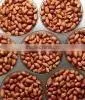 Bulk Raw Peanuts thumbnail-5