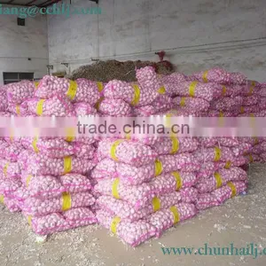 Chinese Exported Peeled Garlic thumbnail-5