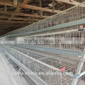 TAIYU Design Layer Chicken Cages In Kenya thumbnail-3