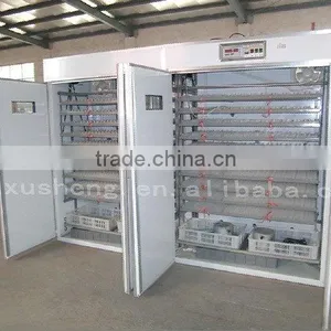RXFB-6 Best Seller--Incubator Egg Incubator thumbnail-1