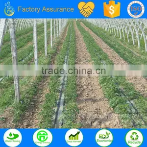 TS Irrigation Green House Drip Irrigation System Saving Water Products Sample thumbnail-2