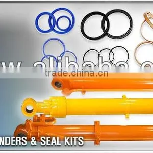 Excavator Hydraulic Arm Boom Bucket Cylinder and Seal Kit thumbnail-1