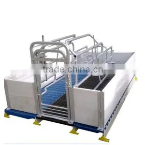 Sow Gestation Pen As Pig Farm Equipment thumbnail-2