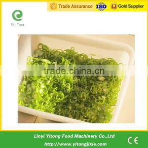 Hot Electric Industrial Stainless Steel Food Vegetable Chopper Cutting Machine thumbnail-3