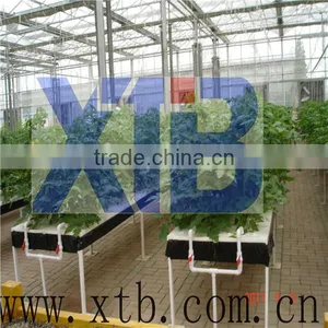 Glass Greenhouse for Hydroponic Systems thumbnail-1