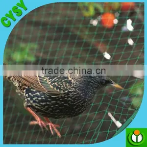 China Manufacture Bird Control Net Anti Insect Net Hail Net thumbnail-1