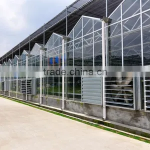 Commercial Greenhouses Frame for Sale thumbnail-1
