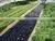 Biodegradable Colorful Agricultural Mulch Film for Crop Food Grade thumbnail-4
