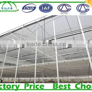 Multi-Span Agricultural Greenhouses Type and PC Sheet Cover Material Commercial Greenhouses thumbnail-2