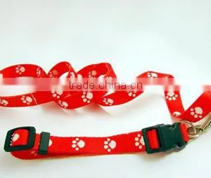 Dog Leash and Collar thumbnail-1