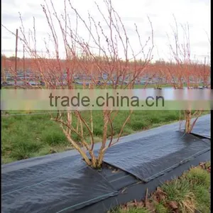 Pp/pe Woven Mesh Tree Weed Mat thumbnail-5