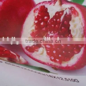 17.5 oz Pvc Flex Banner Coated 200*500 18*12 Frontlit thumbnail-2