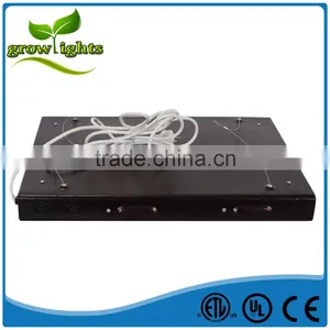 Indoor Greenhouse Hydroponics Grow Light T5 Fixture /t5 Lights for Hydroponic Growers thumbnail-5