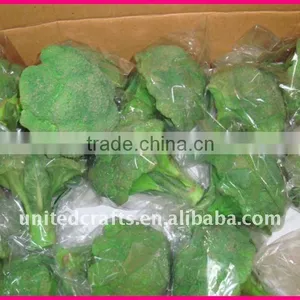NEW ARRIVAL HOT SELLING-2011 New Design Most Popular Natural Vegetable Decoration thumbnail-1