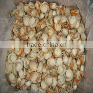 IQF Frozen Cooked Scallops Adductor(roe On) thumbnail-1