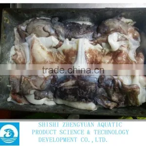 Frozen Peru Squid Neck(Giant Squid) thumbnail-2