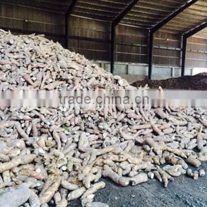 Good Powder for Food - Native Starch - Tapioca/ Cassava Starch thumbnail-1