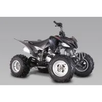 2017 Quality Raptor250cc Yamaha Design thumbnail-1