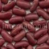 Dark Red Kidney Beans thumbnail-1