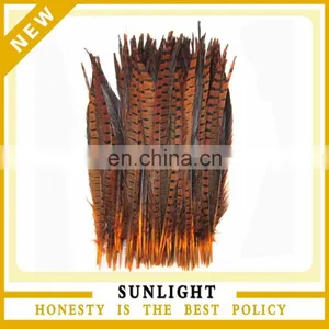 Natural Pheasant Tail Pheasant Feather thumbnail-1