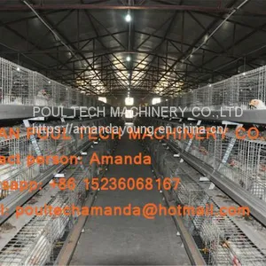 Thailand Poultry Farm A Type Battery Broiler Cage System & Hot Galvanized Cage With Automatic Manure Clean Machine for Farmer thumbnail-3