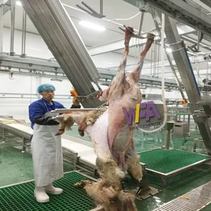 Turnkey Project Lamb Abattoir Sheep Skin Removed Equipment Goat Slaughter House Machine thumbnail-4