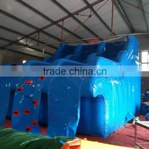 2015 Hot Sale PVC Tarpualin Inflatable Water Slides Animal Theme Water Slider thumbnail-4
