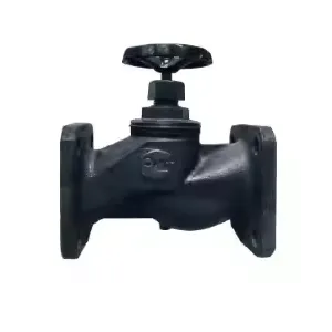 PN10/16 Small Size Cast Iron Globe Valve GOST Female Thread Water Tap J11W-16 J11H-16 GOST Globe Valve thumbnail-5