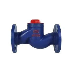 DIN 3202 Gg25 Meatal Seat Swing Check Valve Pn16 Silent Check Valve Lift Check Valve thumbnail-4