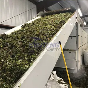 Hot Selling Marijuana Mesh Belt Drying Equipment Industrial Hemp Flowers Dryer EPC thumbnail-2